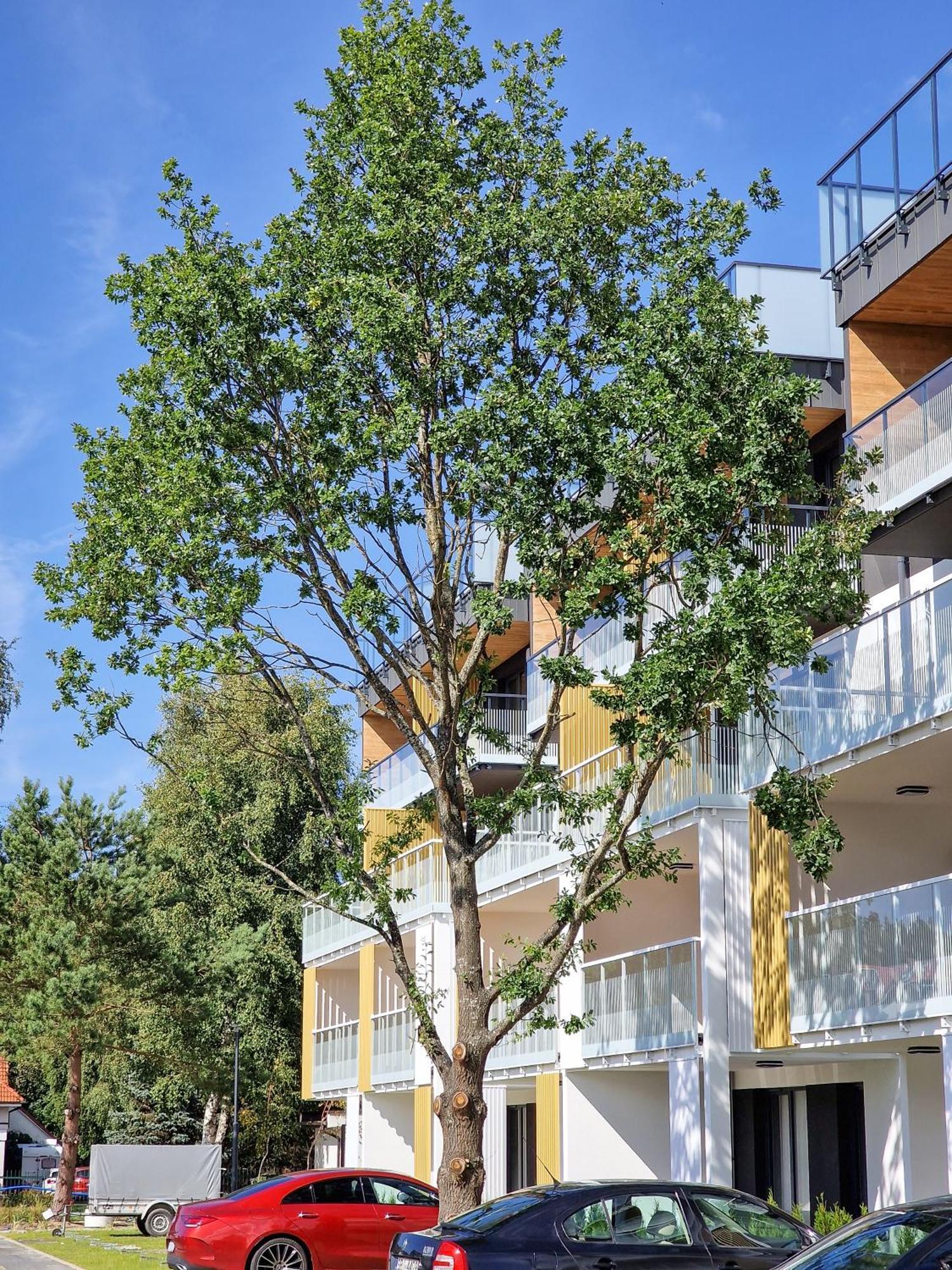Posesja Apartamenty & Spa - Posesja Plazowa 4A II Grzybowo  Exterior foto